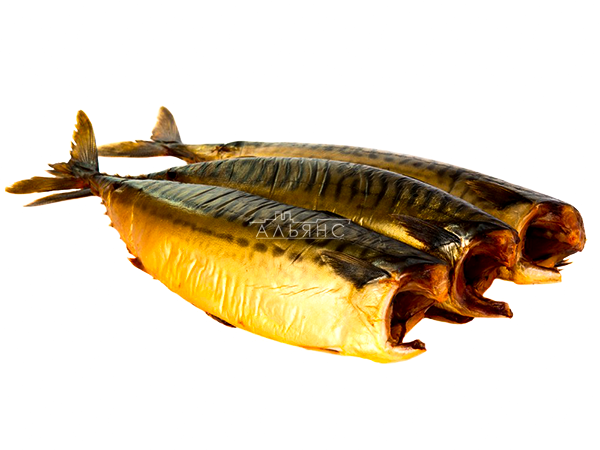 Скумбрия холодного копчения в Куровском